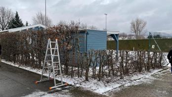 IMG-20250214-WA0010